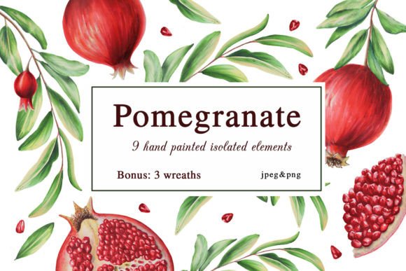 Pomegranate Isolated Elements: A Designer's Guide to This Lush Asset
