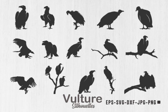 Vulture Silhouette: The Power of a Sitting Vulture Svg